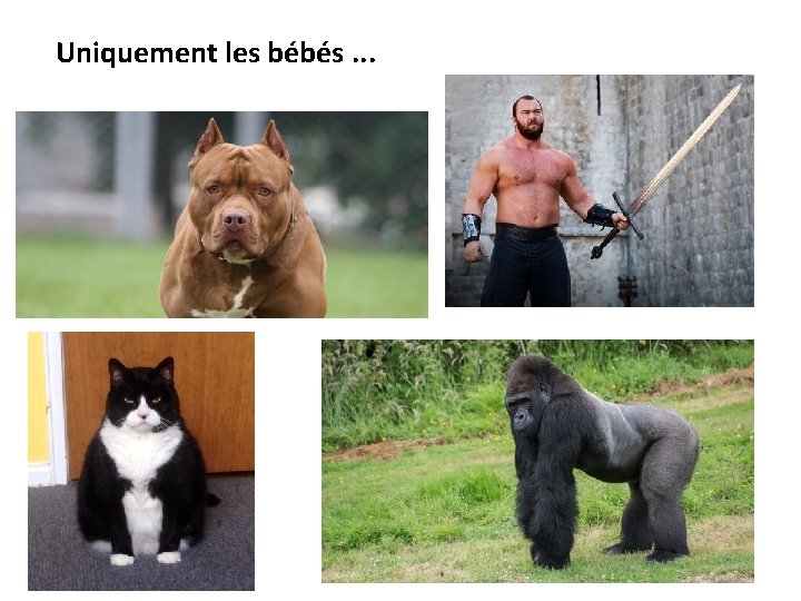 Uniquement les bébés. . . 