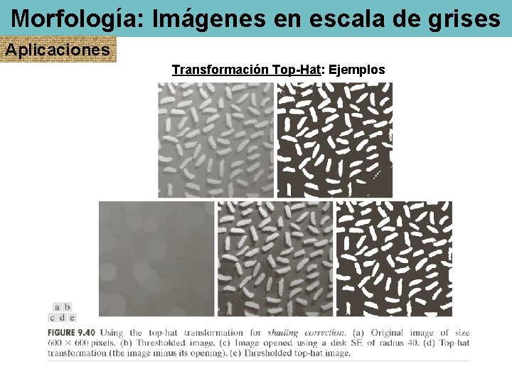 Morfología: Imágenes en escala de grises Aplicaciones Transformación Top-Hat: Ejemplos 