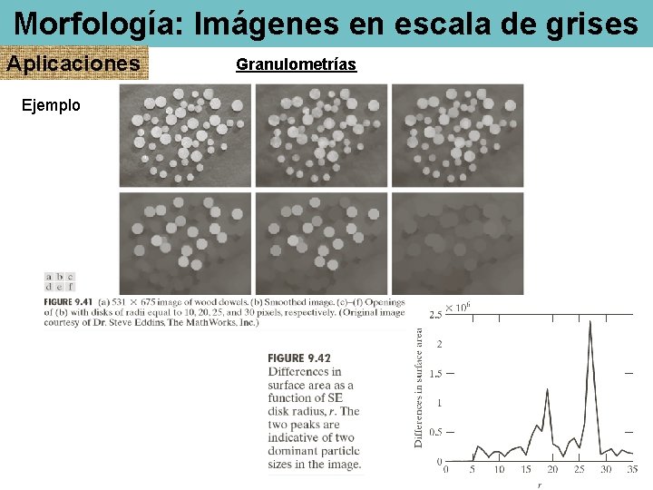 Morfología: Imágenes en escala de grises Aplicaciones Ejemplo Granulometrías 