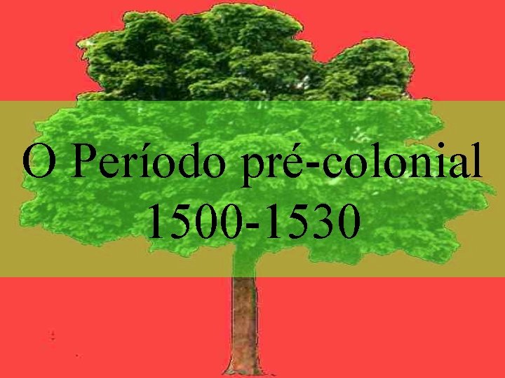 O Período pré-colonial 1500 -1530 