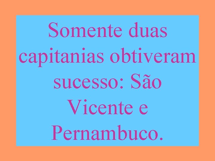 Somente duas capitanias obtiveram sucesso: São Vicente e Pernambuco. 