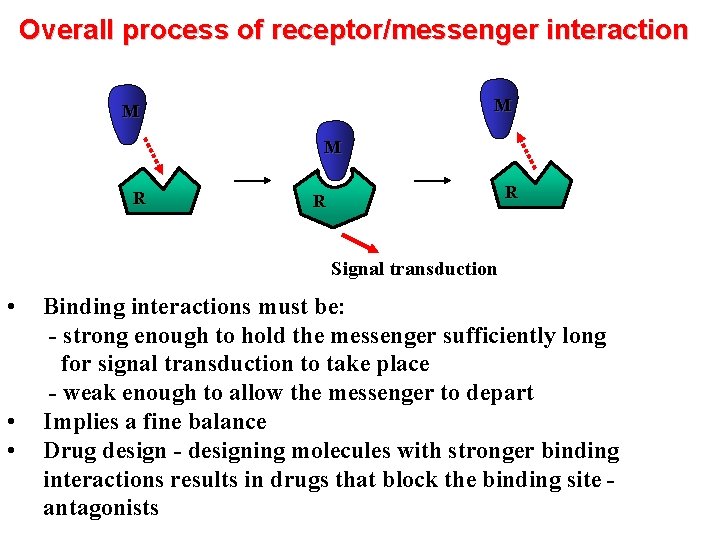 Overall process of receptor/messenger interaction M M M RE RE R Signal transduction •