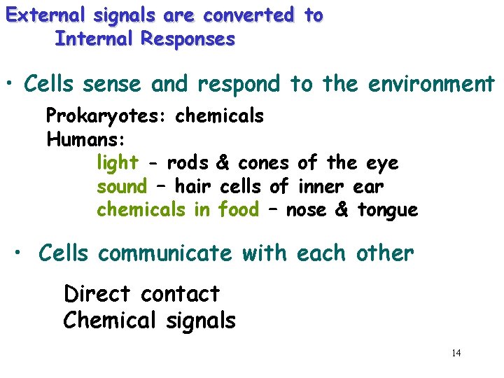 External signals are converted to Internal Responses • Cells sense and respond to the