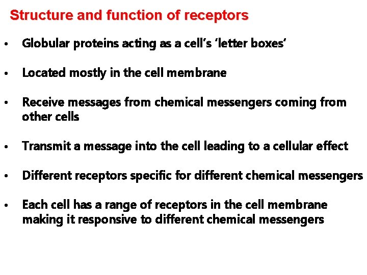 Structure and function of receptors • Globular proteins acting as a cell’s ‘letter boxes’