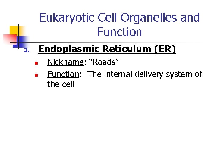 Eukaryotic Cell Organelles and Function Endoplasmic Reticulum (ER) 3. n n Nickname: “Roads” Function: