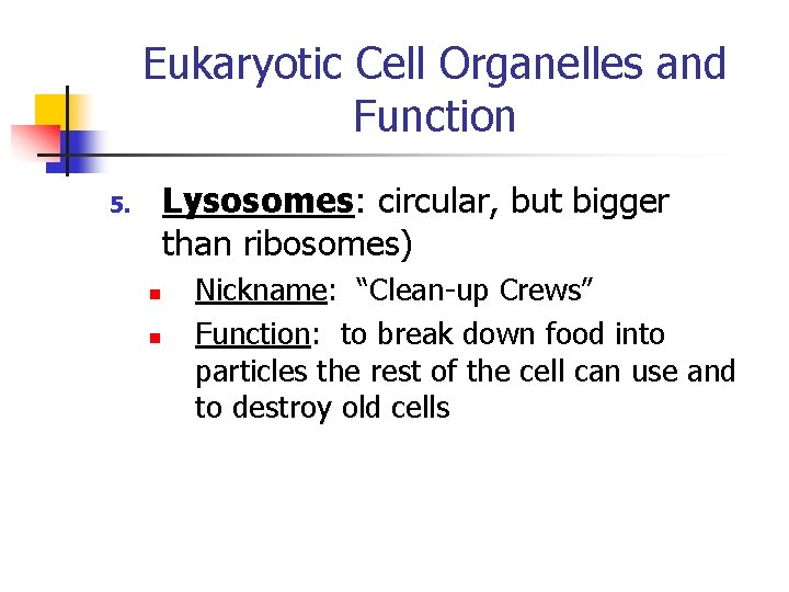 Eukaryotic Cell Organelles and Function Lysosomes: circular, but bigger than ribosomes) 5. n n