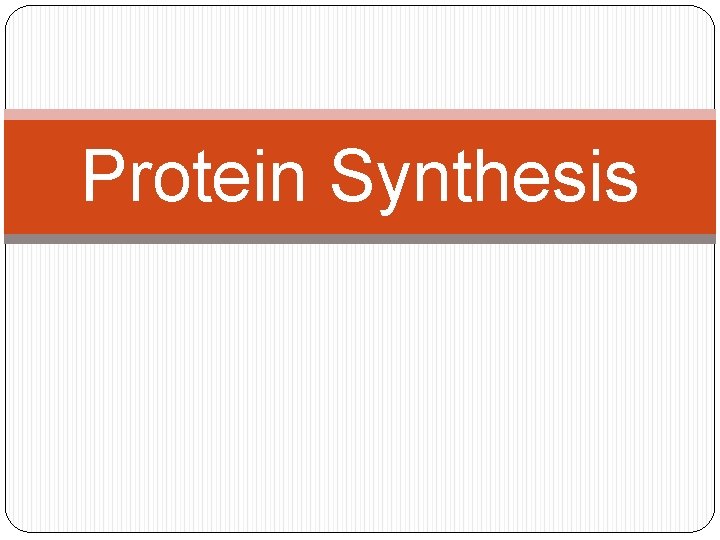 Protein Synthesis 