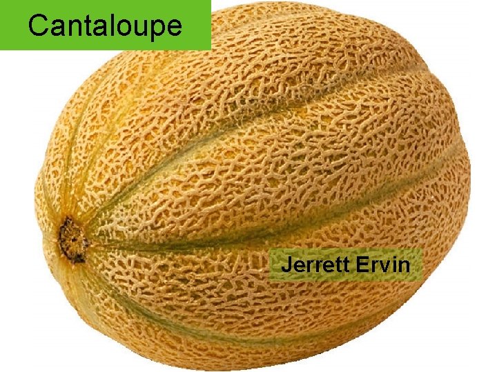 Cantaloupe Jerrett Ervin 