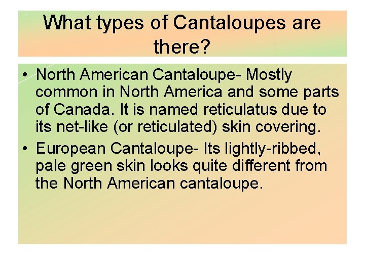 What types of Cantaloupes are there? • North American Cantaloupe- Mostly common in North