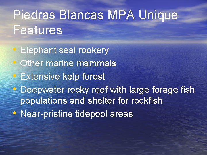Piedras Blancas MPA Unique Features • • • Elephant seal rookery Other marine mammals