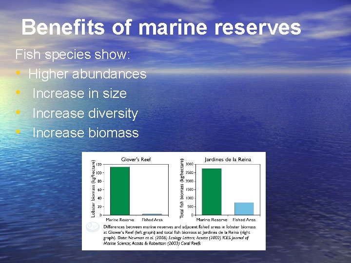 Benefits of marine reserves Fish species show: • Higher abundances • Increase in size