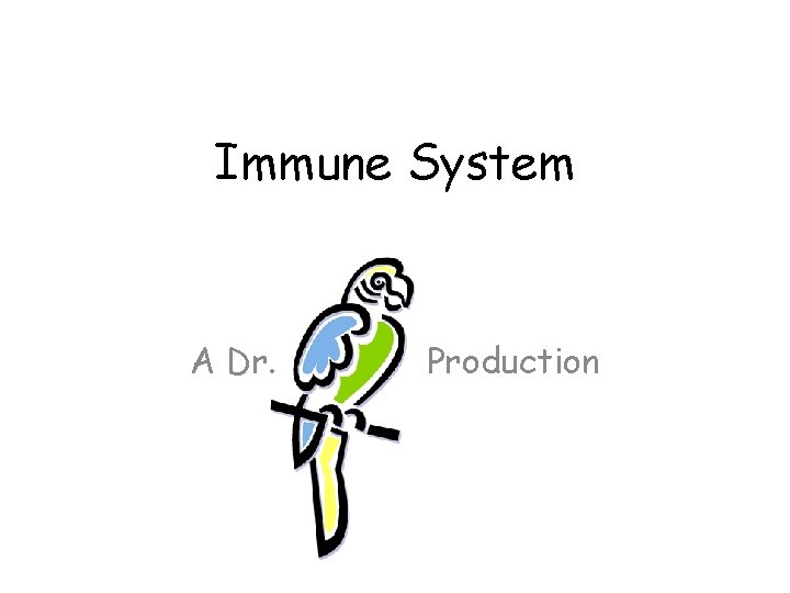 Immune System A Dr. Production 