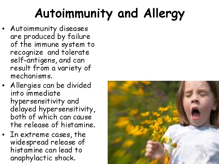 Autoimmunity and Allergy • Autoimmunity diseases are produced by failure of the immune system