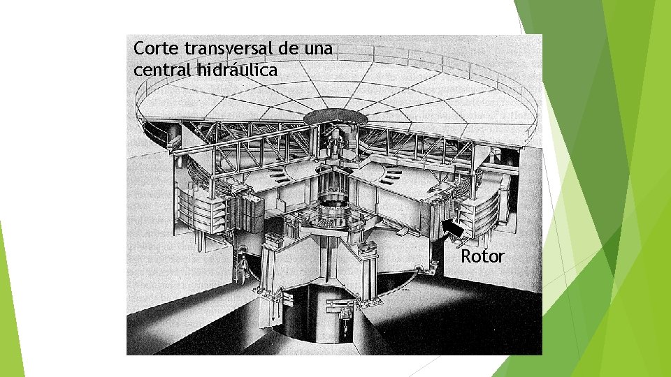 Corte transversal de una central hidráulica Rotor 