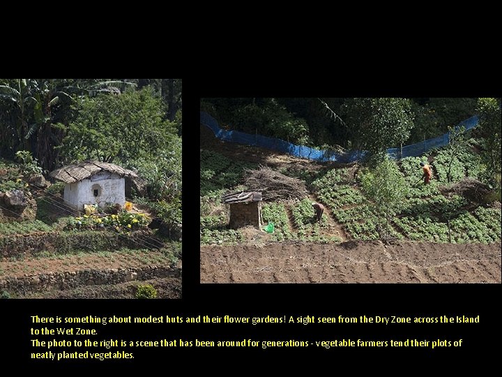 There is something about modest huts and their flower gardens! A sight seen from