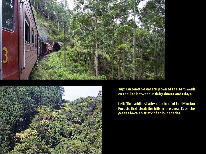 Top: Locomotive entering one of the 14 tunnels on the line between Indalgashinna and