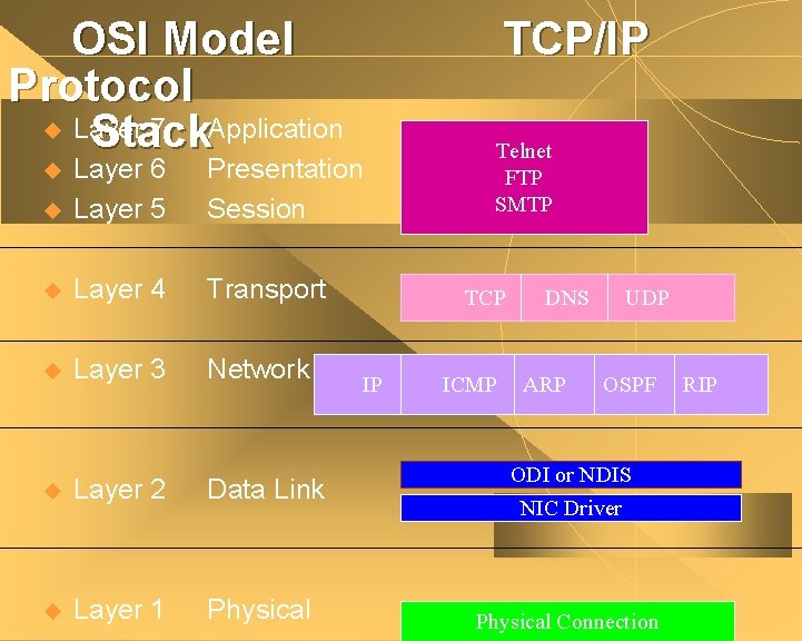 OSI Model Protocol u Layer 7 Application Stack TCP/IP u Layer 6 Layer 5