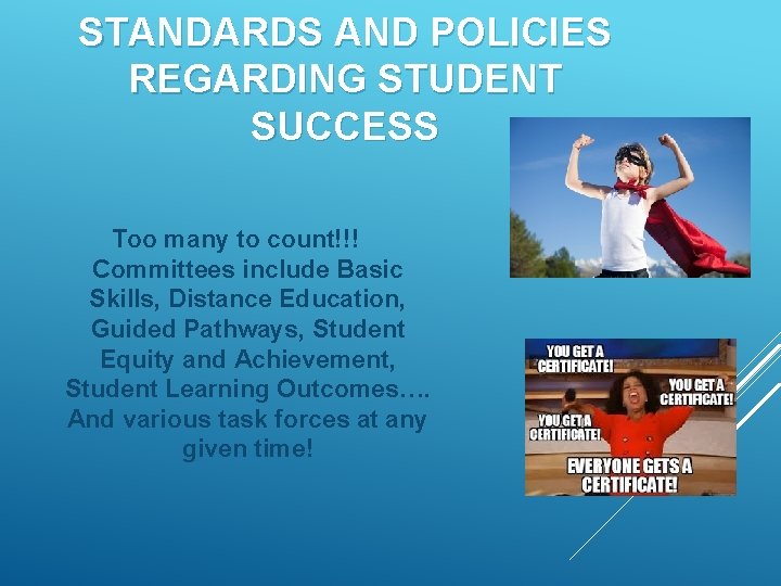 STANDARDS AND POLICIES REGARDING STUDENT SUCCESS Too many to count!!! Committees include Basic Skills,