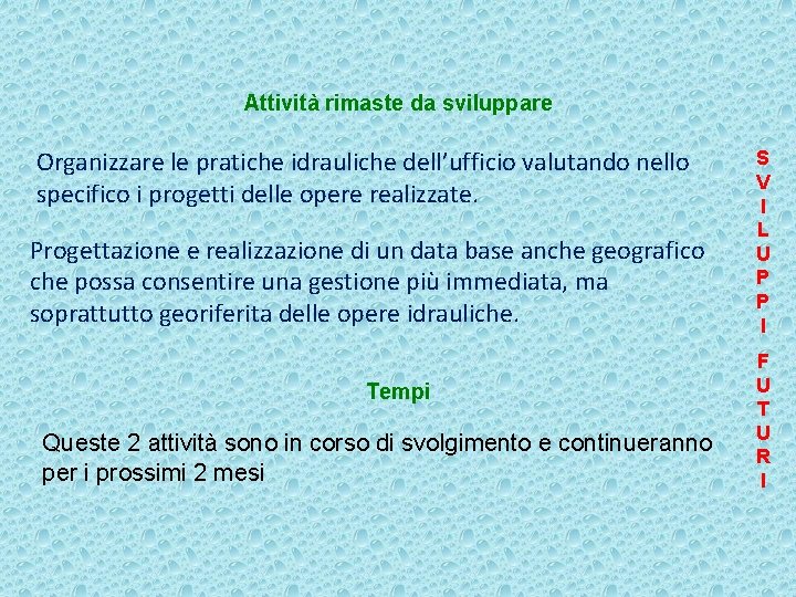 Attività rimaste da sviluppare Organizzare le pratiche idrauliche dell’ufficio valutando nello specifico i progetti