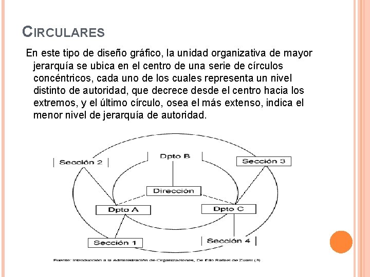 CIRCULARES En este tipo de diseño gráfico, la unidad organizativa de mayor jerarquía se
