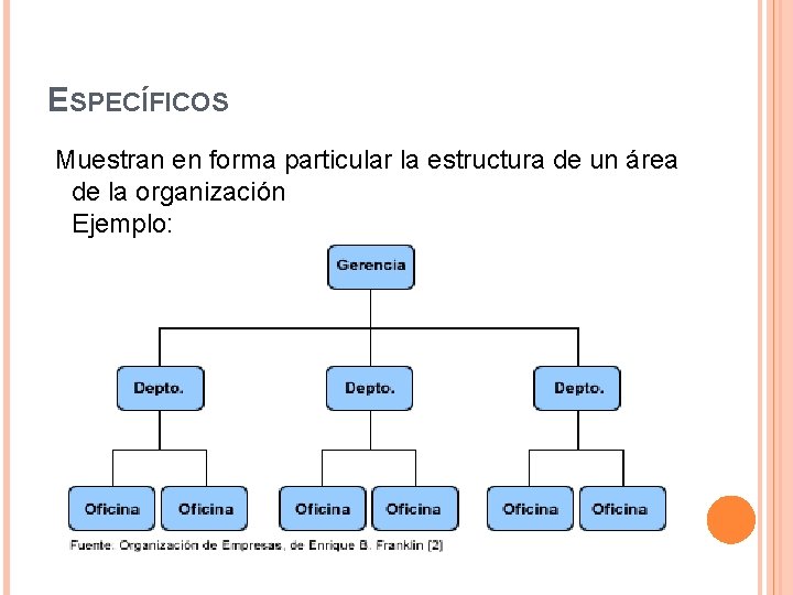 ESPECÍFICOS Muestran en forma particular la estructura de un área de la organización Ejemplo: