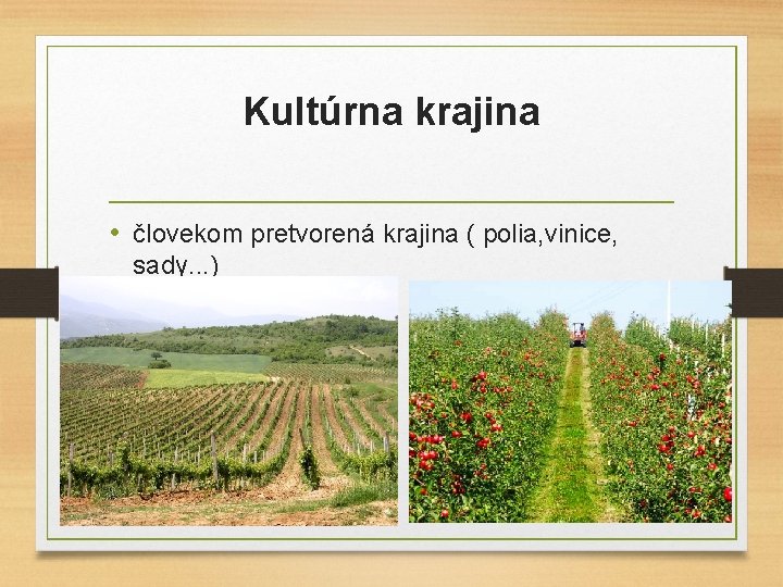 Kultúrna krajina • človekom pretvorená krajina ( polia, vinice, sady. . . ) 