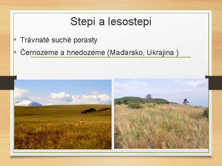 Stepi a lesostepi • Trávnaté suché porasty • Černozeme a hnedozeme (Maďarsko, Ukrajina )