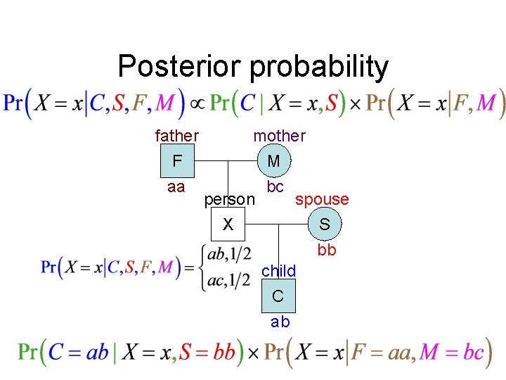 Posterior probability father F aa mother M bc person spouse X S bb child