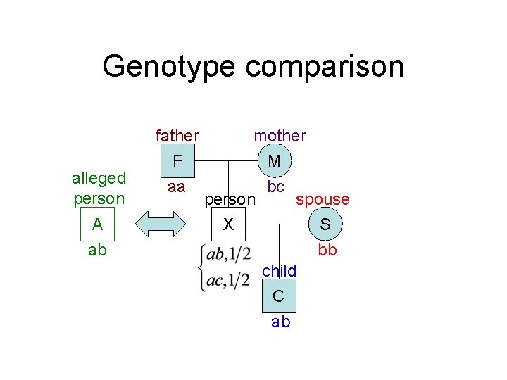 Genotype comparison alleged person A ab father F aa mother M bc person spouse