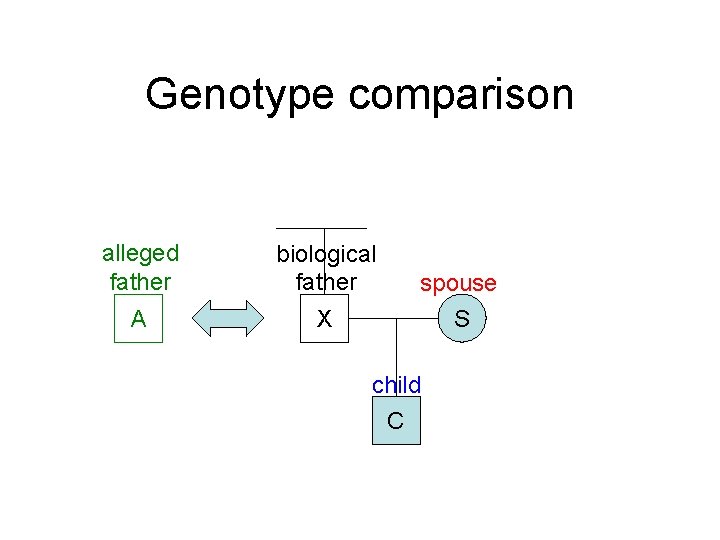 Genotype comparison alleged father biological father A X spouse S child C 