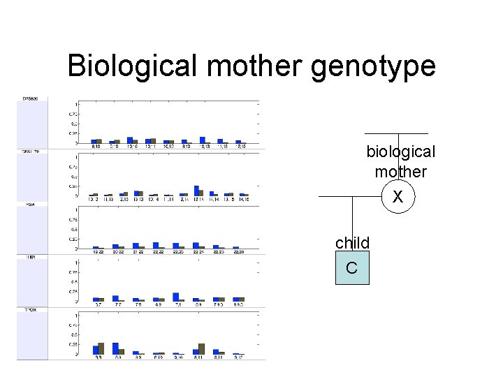 Biological mother genotype biological mother X child C 