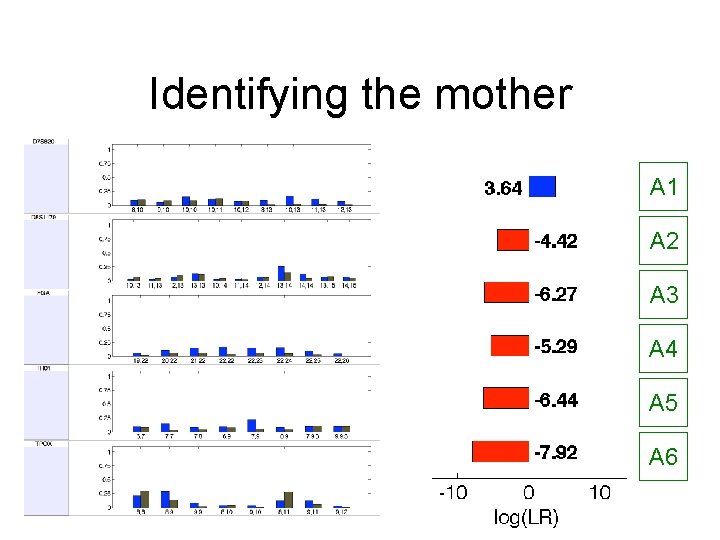 Identifying the mother A 1 A 2 A 3 A 4 A 5 A