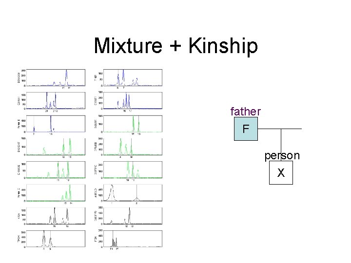 Mixture + Kinship father F person X 