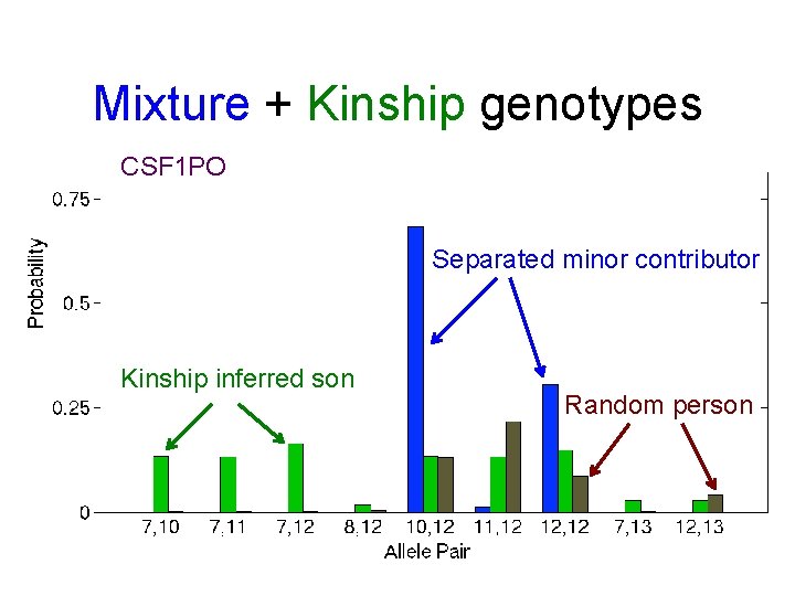 Mixture + Kinship genotypes CSF 1 PO Separated minor contributor Kinship inferred son Random