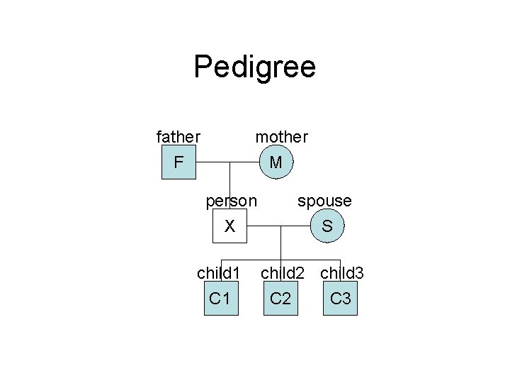 Pedigree father F mother M person X child 1 C 1 spouse S child