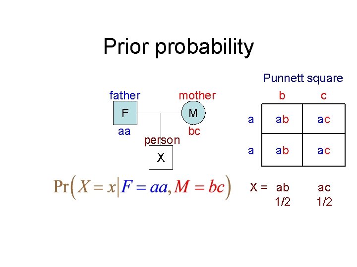 Prior probability father F aa mother M bc person X Punnett square b c