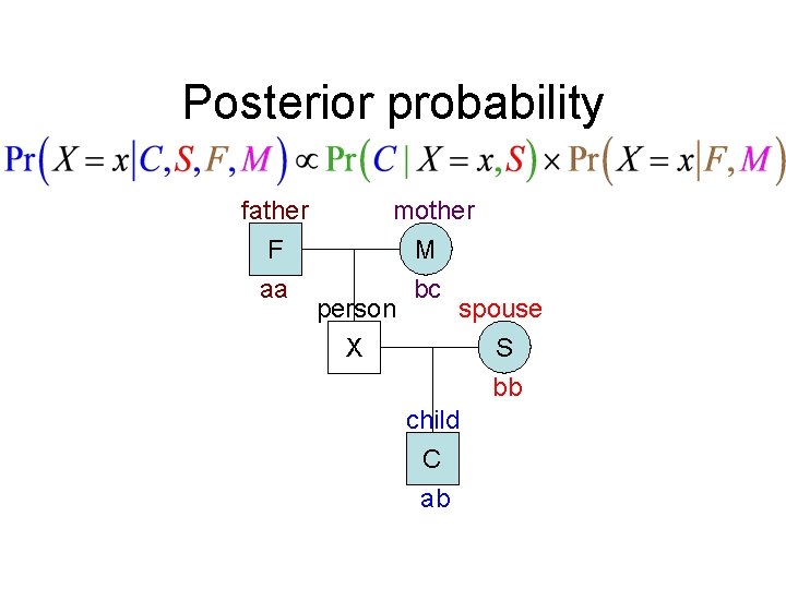 Posterior probability father F aa mother M bc person spouse X S bb child