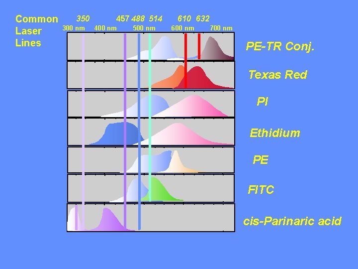 Common Laser Lines 350 300 nm 457 488 514 400 nm 500 nm 610