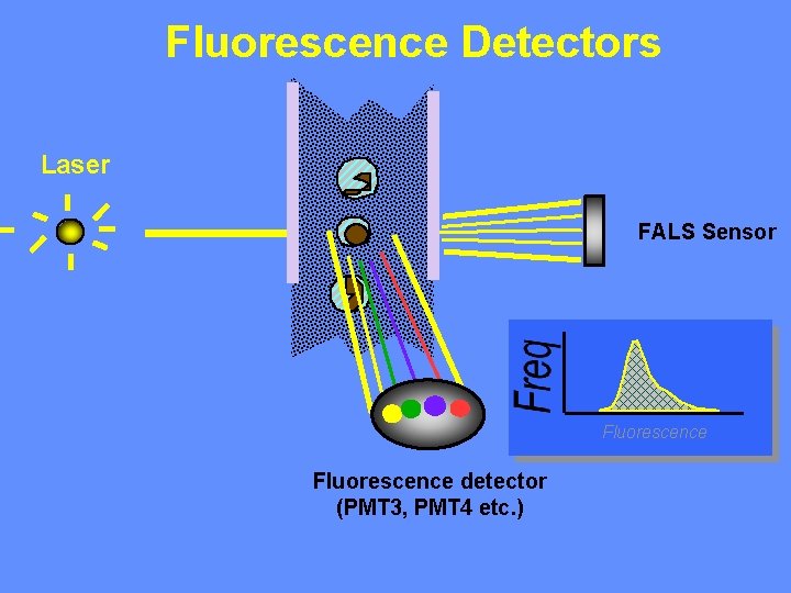 Fluorescence Detectors Laser FALS Sensor Fluorescence detector (PMT 3, PMT 4 etc. ) 