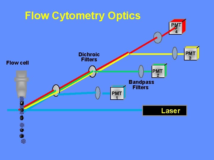 Flow Cytometry Optics PMT 4 Flow cell PMT Dichroic Filters 3 PMT 2 Bandpass