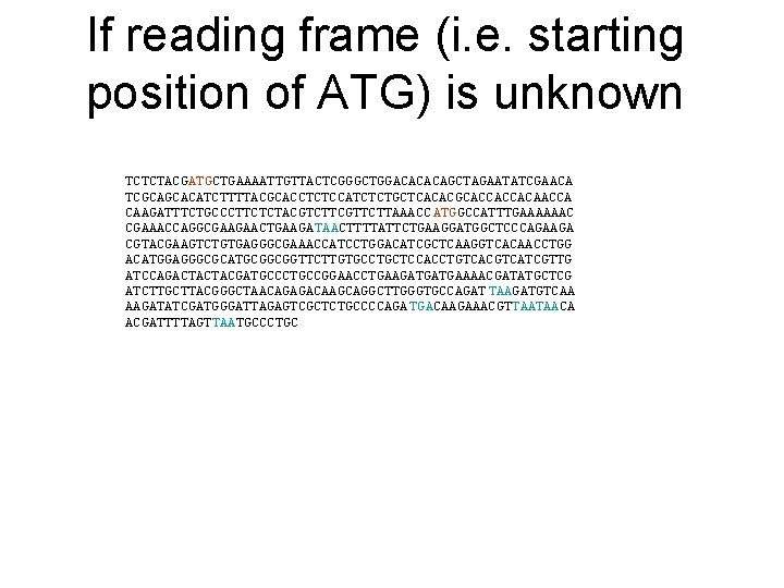 If reading frame (i. e. starting position of ATG) is unknown TCTCTACGATGCTGAAAATTGTTACTCGGGCTGGACACACAGCTAGAATATCGAACA TCGCAGCACATCTTTTACGCACCTCTCCATCTCTGCTCACACGCACCACCACAACCA CAAGATTTCTGCCCTTCTCTACGTCTTCGTTCTTAAACC