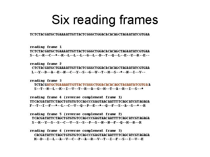 Six reading frames TCTCTACGATGCTGAAAATTGTTACTCGGGCTGGACACACAGCTAGAATATCGTGAA reading frame 1 TCTCTACGATGCTGAAAATTGTTACTCGGGCTGGACACACAGCTAGAATATCGTGAA S--L--R--C--*--K--L--L--L--G--L--D--T--Q--L--E--Y--R--E-reading frame 2 CTCTACGATGCTGAAAATTGTTACTCGGGCTGGACACACAGCTAGAATATCGTGAA L--Y--D--A--E--N--C--Y--S--G--W--T--H--S--*--N--I--V-reading frame