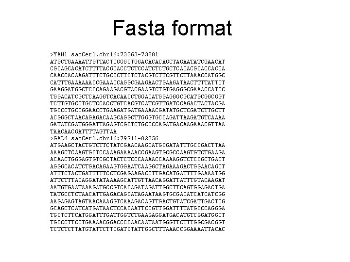 Fasta format >YAH 1 sac. Cer 1. chr 16: 73363 -73881 ATGCTGAAAATTGTTACTCGGGCTGGACACACAGCTAGAATATCGAACAT CGCAGCACATCTTTTACGCACCTCTCCATCTCTGCTCACACGCACCACCA CAACCACAAGATTTCTGCCCTTCTCTACGTCTTCGTTCTTAAACCATGGC