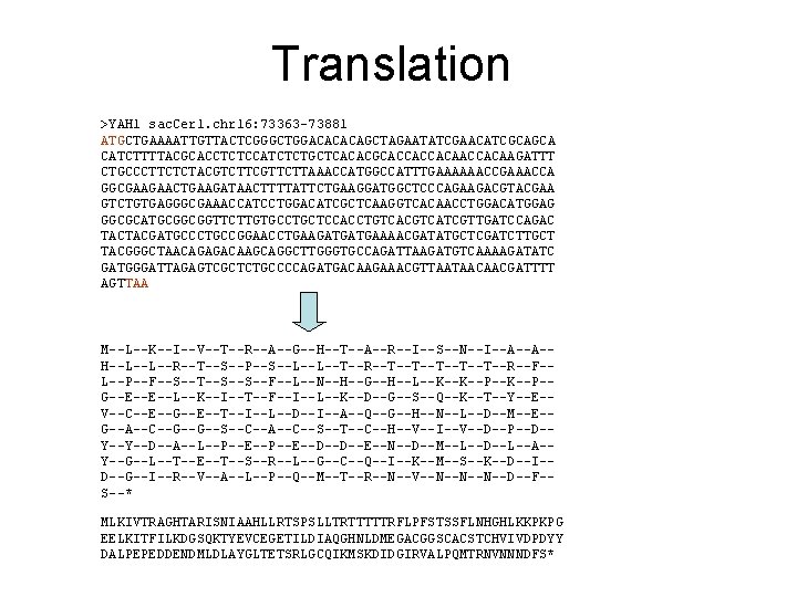 Translation >YAH 1 sac. Cer 1. chr 16: 73363 -73881 ATGCTGAAAATTGTTACTCGGGCTGGACACACAGCTAGAATATCGAACATCGCAGCA CATCTTTTACGCACCTCTCCATCTCTGCTCACACGCACCACCACAAGATTT CTGCCCTTCTCTACGTCTTCGTTCTTAAACCATGGCCATTTGAAAAAACCGAAACCA GGCGAAGAACTGAAGATAACTTTTATTCTGAAGGATGGCTCCCAGAAGACGTACGAA