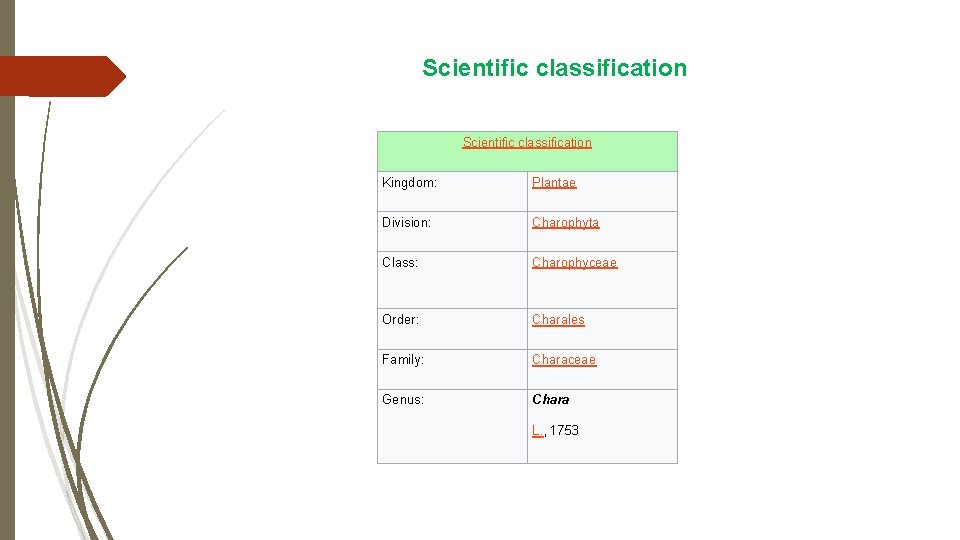 Scientific classification Kingdom: Plantae Division: Charophyta Class: Charophyceae Order: Charales Family: Characeae Genus: Chara