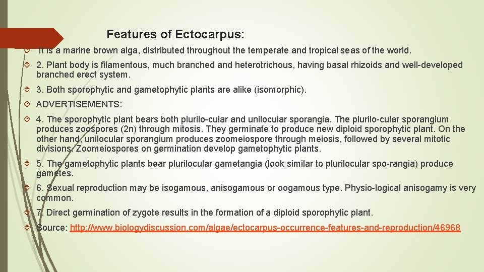 Features of Ectocarpus: It is a marine brown alga, distributed throughout the temperate and