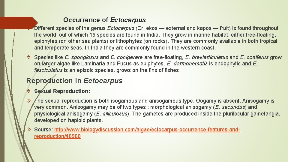 Occurrence of Ectocarpus Different species of the genus Ectocarpus (Cr. ekos — external and