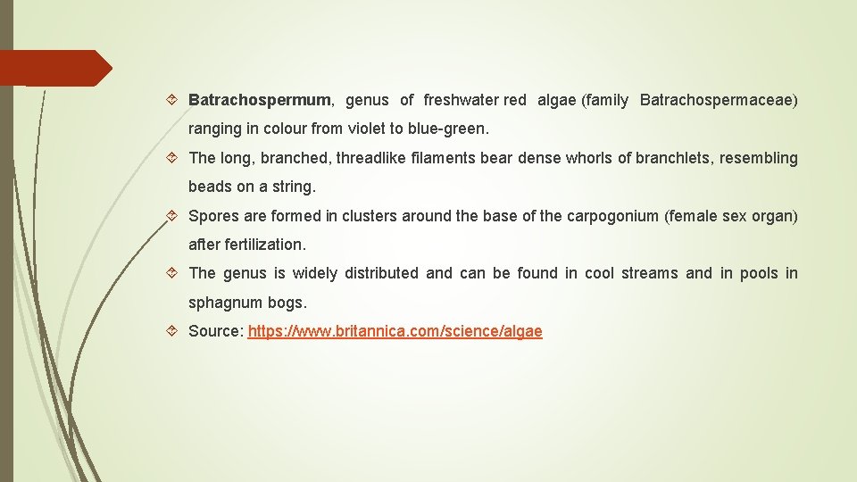  Batrachospermum, genus of freshwater red algae (family Batrachospermaceae) ranging in colour from violet