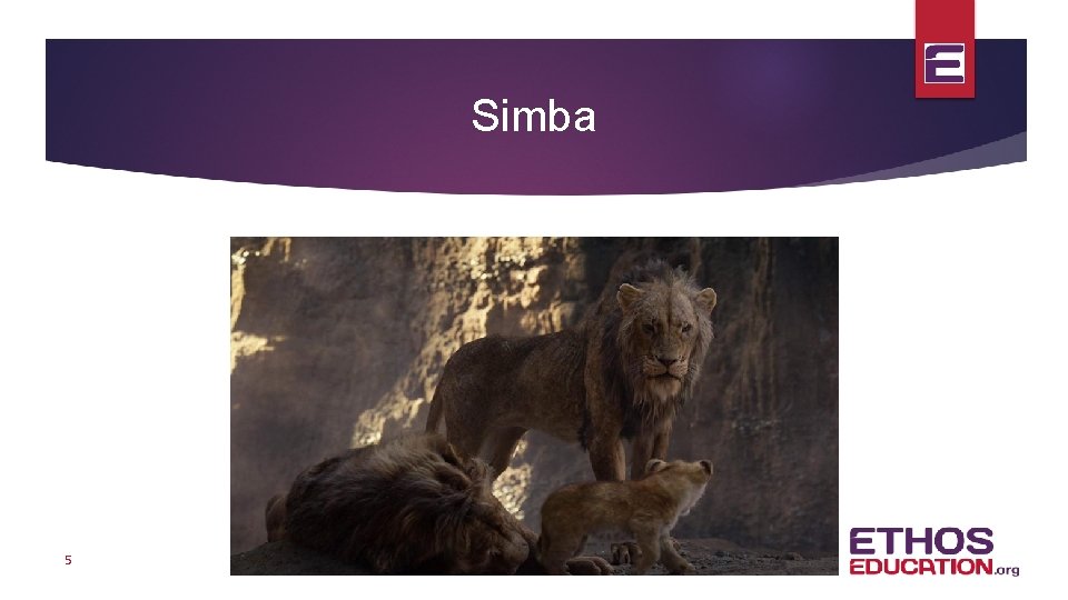 Simba 5 