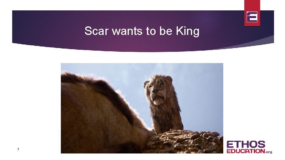 Scar wants to be King 7 